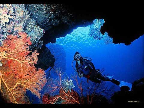 scuba diving mooloolaba