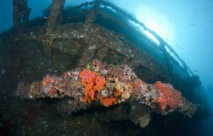 hmas brisbane dive