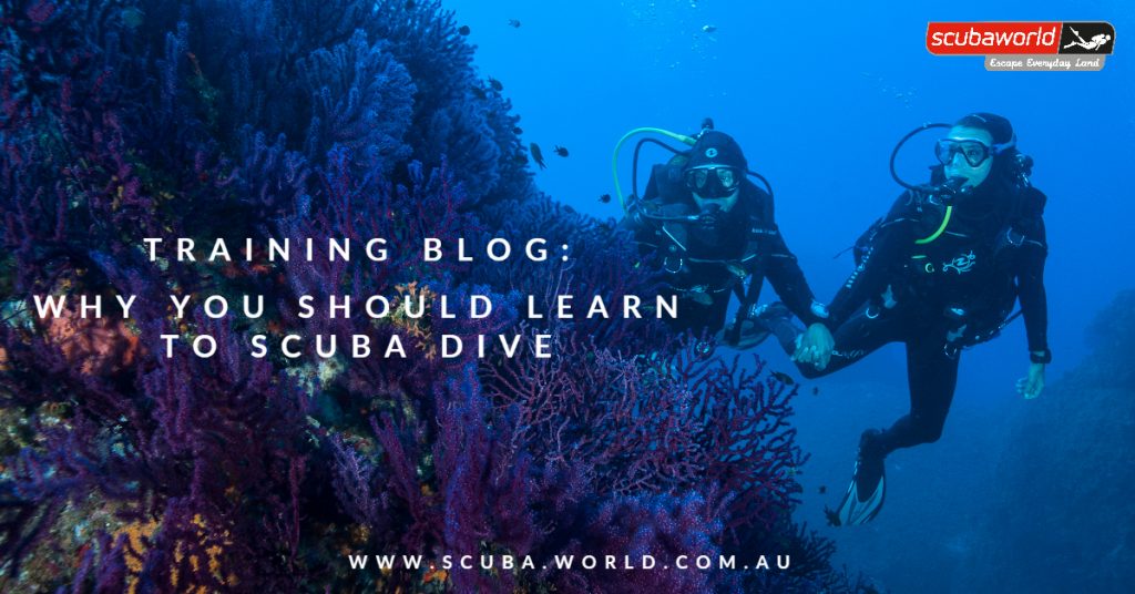 scuba diving course