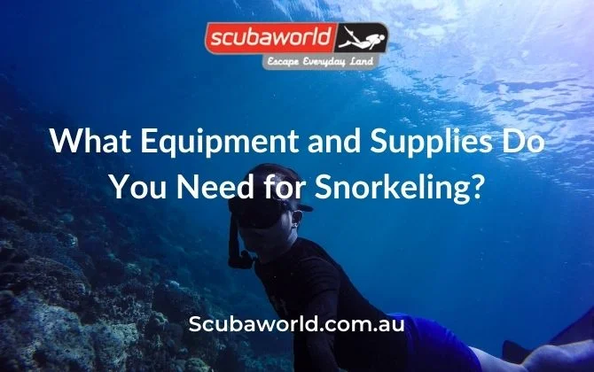 The Gear You Need for Warm Water Diving