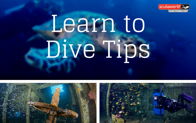 learn to dive