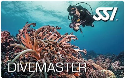 Dive Master Course