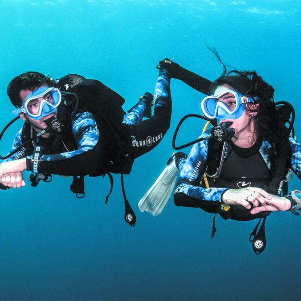 HMAS Brisbane Dive Tours Scuba Diving Sunshine Coast