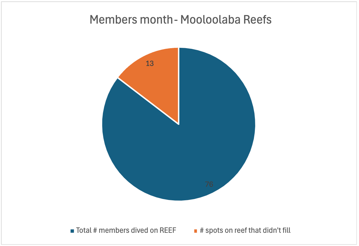 Mool reef | Scuba World