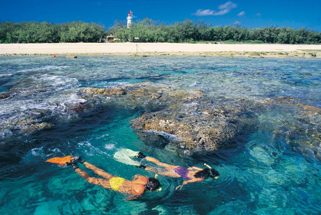 Snorkling Lady Elliot Island