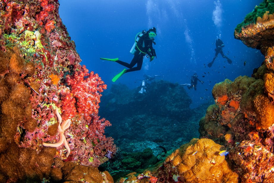 SIMILAN & SURIN ISLANDS Divers