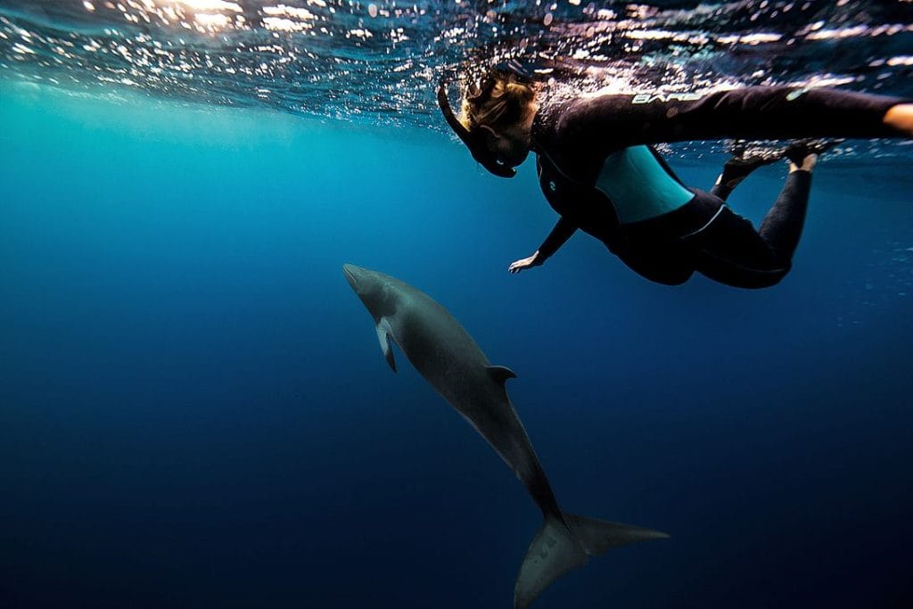 csm female snorkeling wale huish outdoors christian miller 2341c693ad | Scuba World