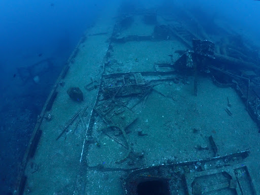 Home Scuba Diving Sunshine Coast 26 | Scuba World ChIJSyajhd11k2sR7peGSAuZ6pg img 3c844bbfea3ac45272c5ca85aa3694f4 | Scuba World