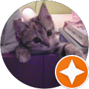 Home Scuba Diving Sunshine Coast 12 | Scuba World Mónica Figueroa Villar profile picture