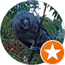 Home Scuba Diving Sunshine Coast 12 | Scuba World Jim Bariesheff profile picture